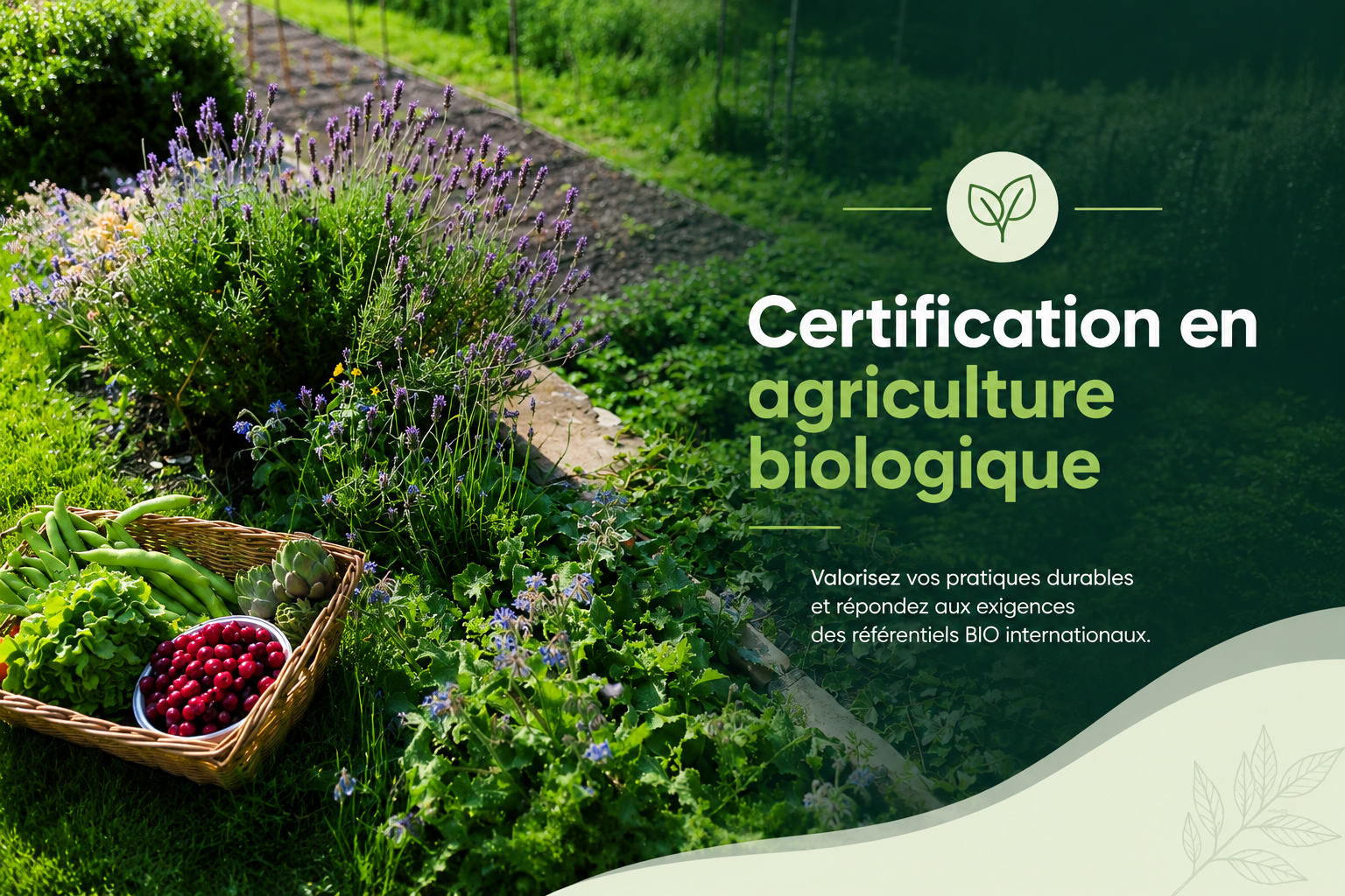 Certification en agriculture biologique
