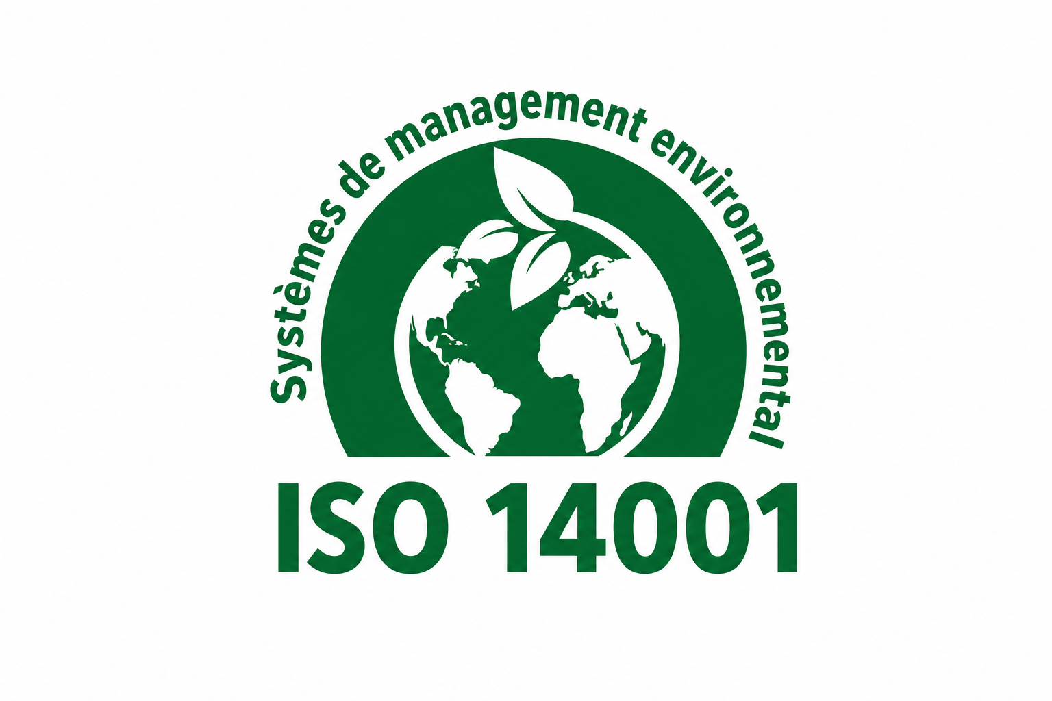 ISO 14001 et performance environnementale