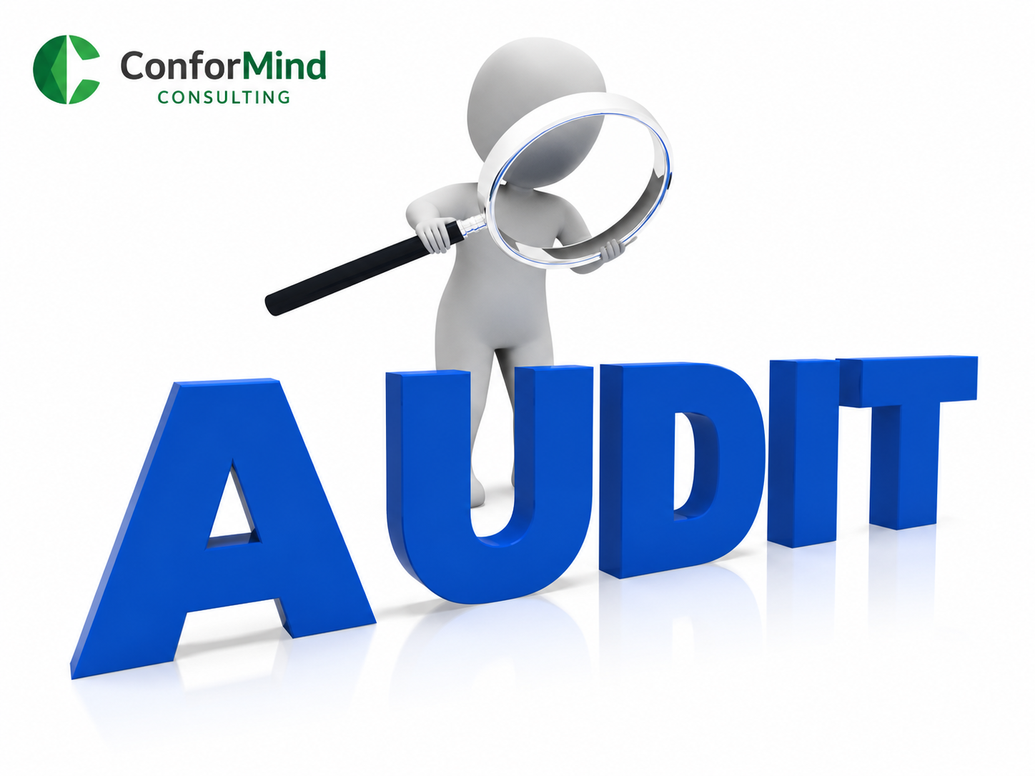 Auditeur Interne